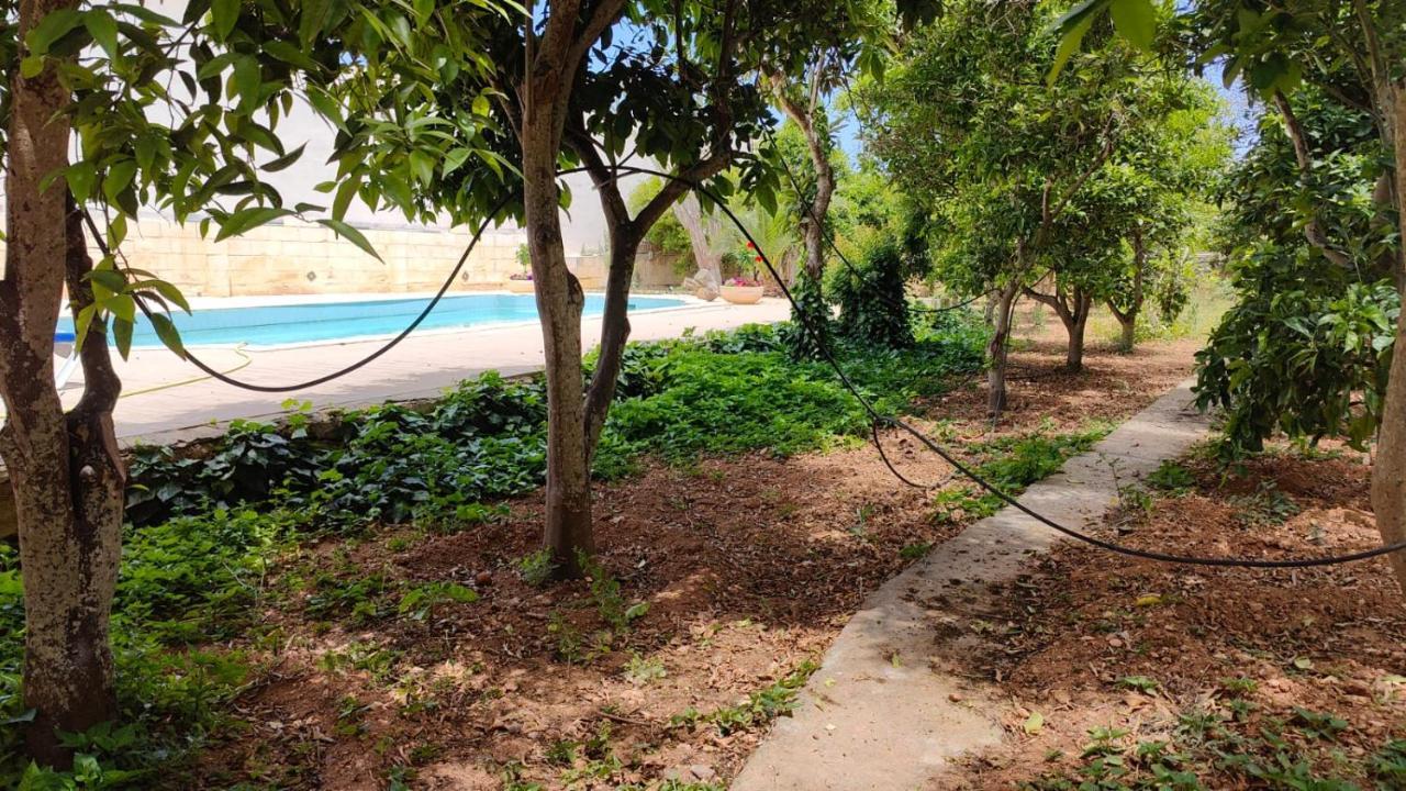 Stunning Villa With Pool, Table Tennis, Table Soccer And A Pool Table Нашшар Экстерьер фото