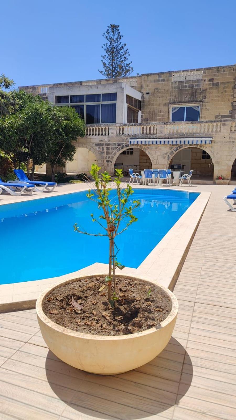 Stunning Villa With Pool, Table Tennis, Table Soccer And A Pool Table Нашшар Экстерьер фото